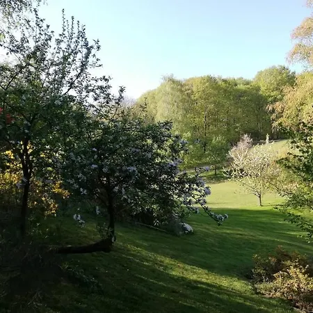 度假居 Le Bois D'repiat, Un Lieu Calme Et Reposant 那慕尔