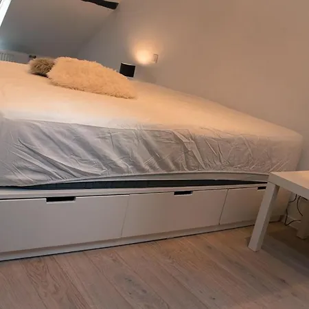 Le Bois D'repiat, Un Lieu Calme Et Reposant * 那慕尔