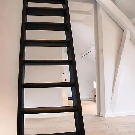 Le Bois D'repiat, Un Lieu Calme Et Reposant 那慕尔